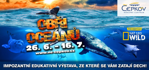 Obři oceánů